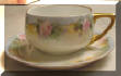Hand Painted Rosenthal Tea Cup