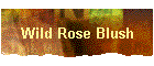 Wild Rose Blush